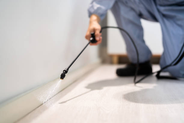 Bed Bug Pre-Treatment Preparation Assessment in Grantville