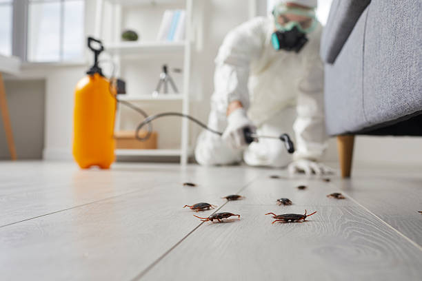Post-Treatment Bed Bug Interceptor Monitoring in Grantville