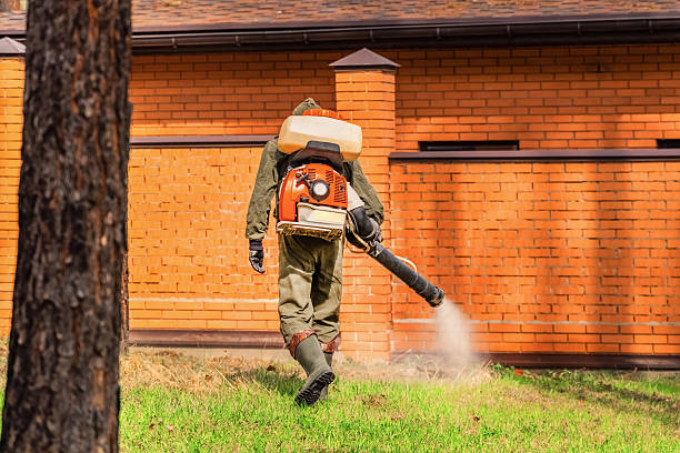 Bed Bug Clearance Verification and Documentation in Grantville